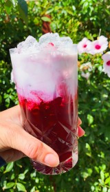 Creamy Hibiscus Iced Tea with Rose Water and Honey