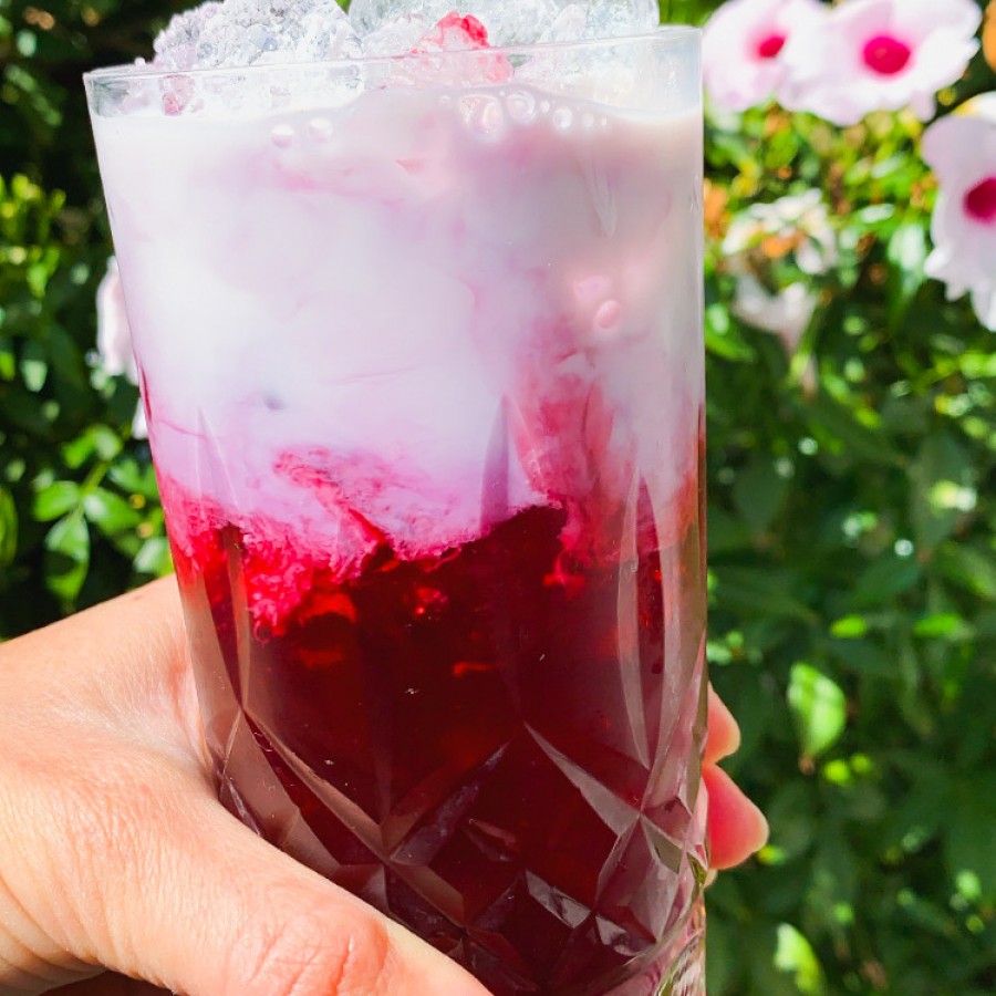 Creamy Hibiscus Iced Tea with Rose Water and Honey