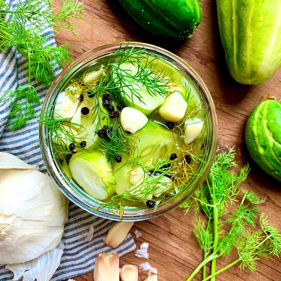 Quick Dill and Garlic Pickles